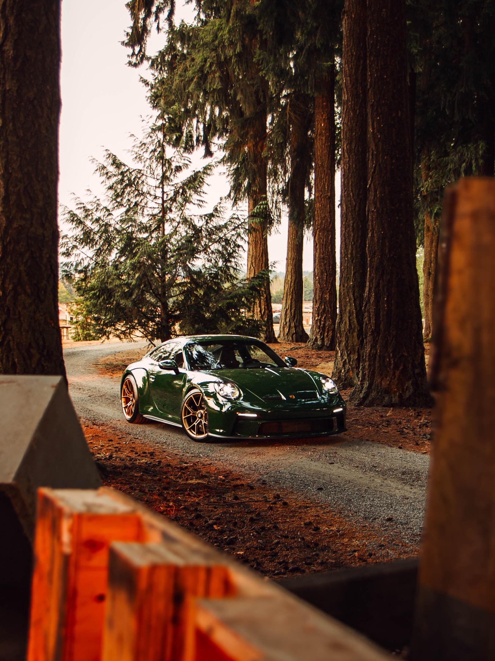 PORSCHE GT3 TOURING TAKES GREEN INTO THE FOREST (image 8)