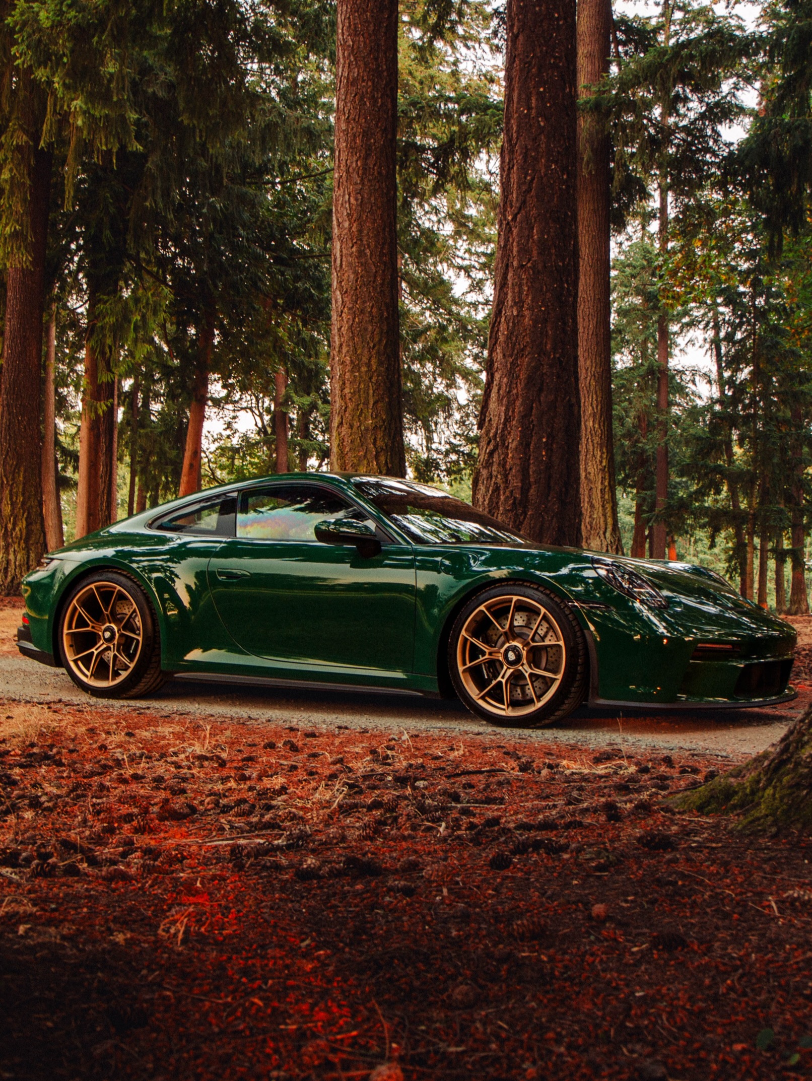 PORSCHE GT3 TOURING TAKES GREEN INTO THE FOREST (image 9)