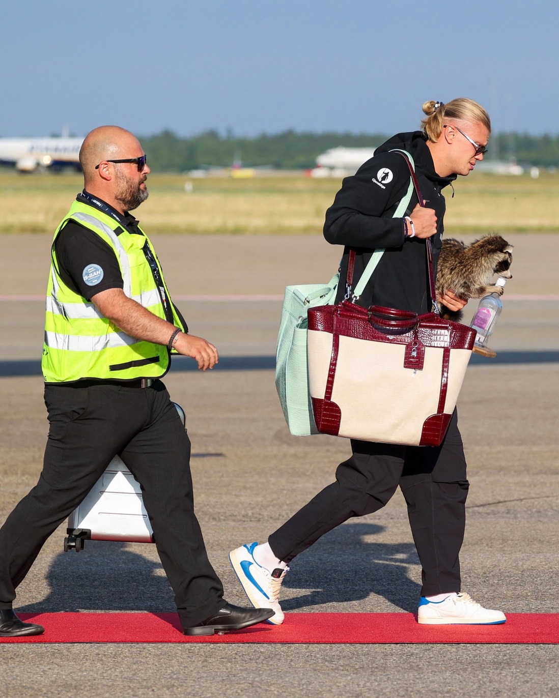 HAALAND'S $750 RACCOON CARRIES A CREDITS LINE HOME (image 2)