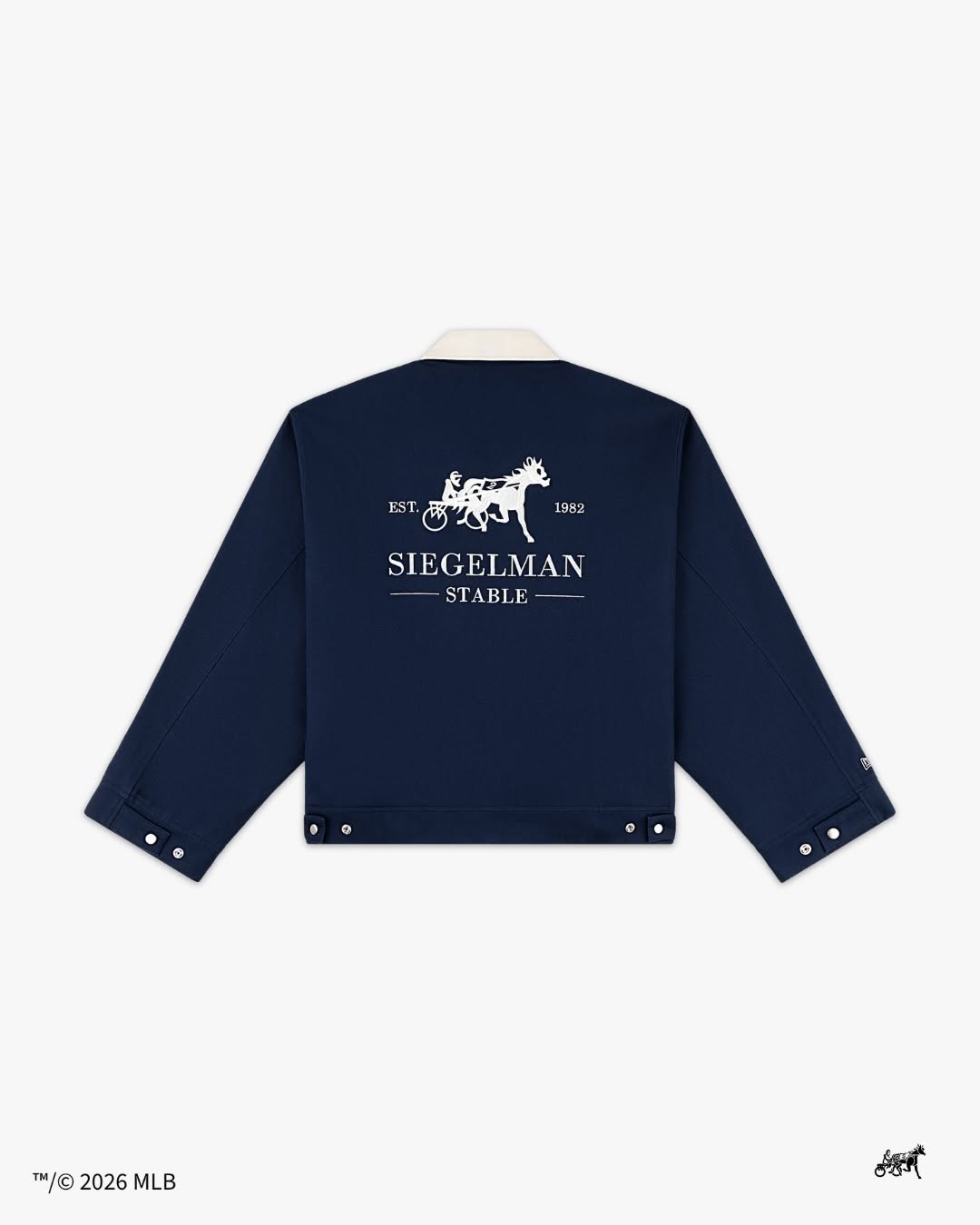 SIEGELMAN STABLE PUTS 13 PIECES ON THE YANKEES (image 3)