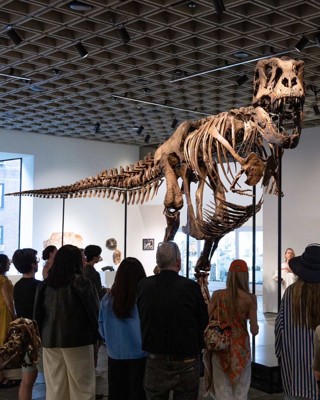 GUS THE T. REX HEADS TO SOTHEBY'S FOR $30 MILLION (image 2)
