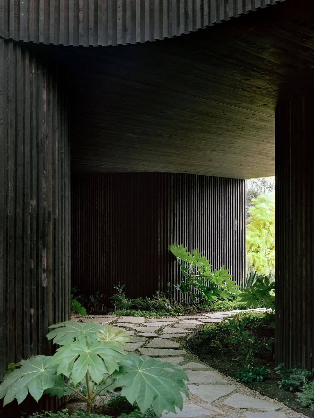 EDITION OFFICE BUILT ABOVE THE GROUND IN MELBOURNE (image 2)