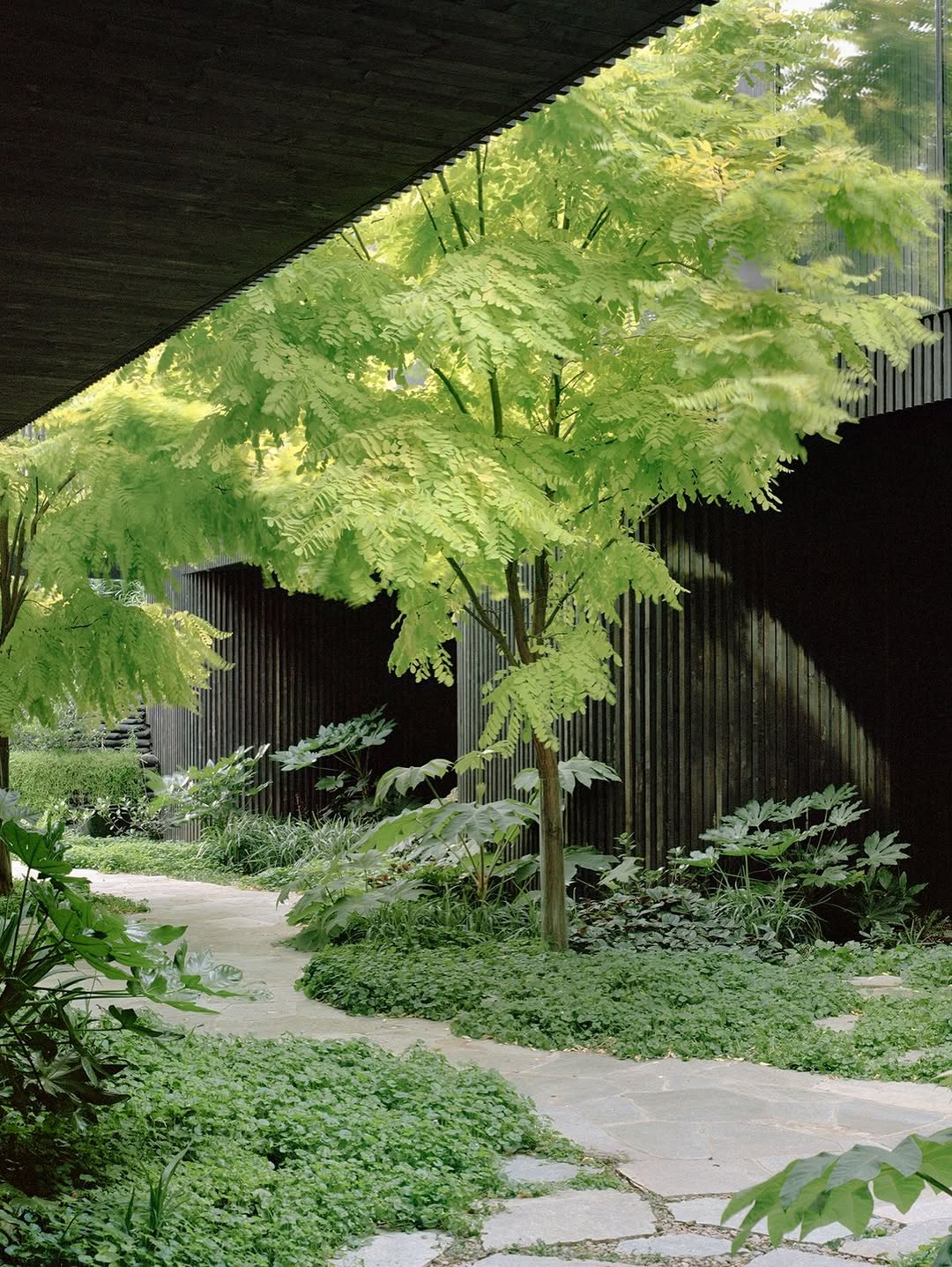 EDITION OFFICE BUILT ABOVE THE GROUND IN MELBOURNE (image 3)
