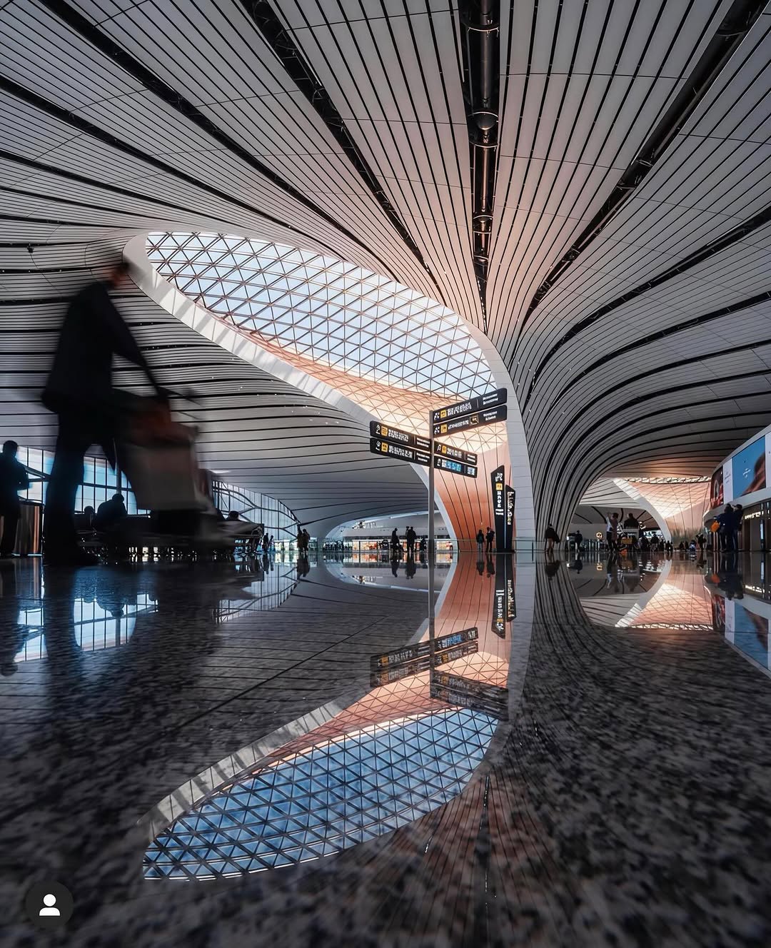 Zaha Hadid Architects Published 19 Renders of Beijing Daxing and Every One Is a Structural Argument (image 6)