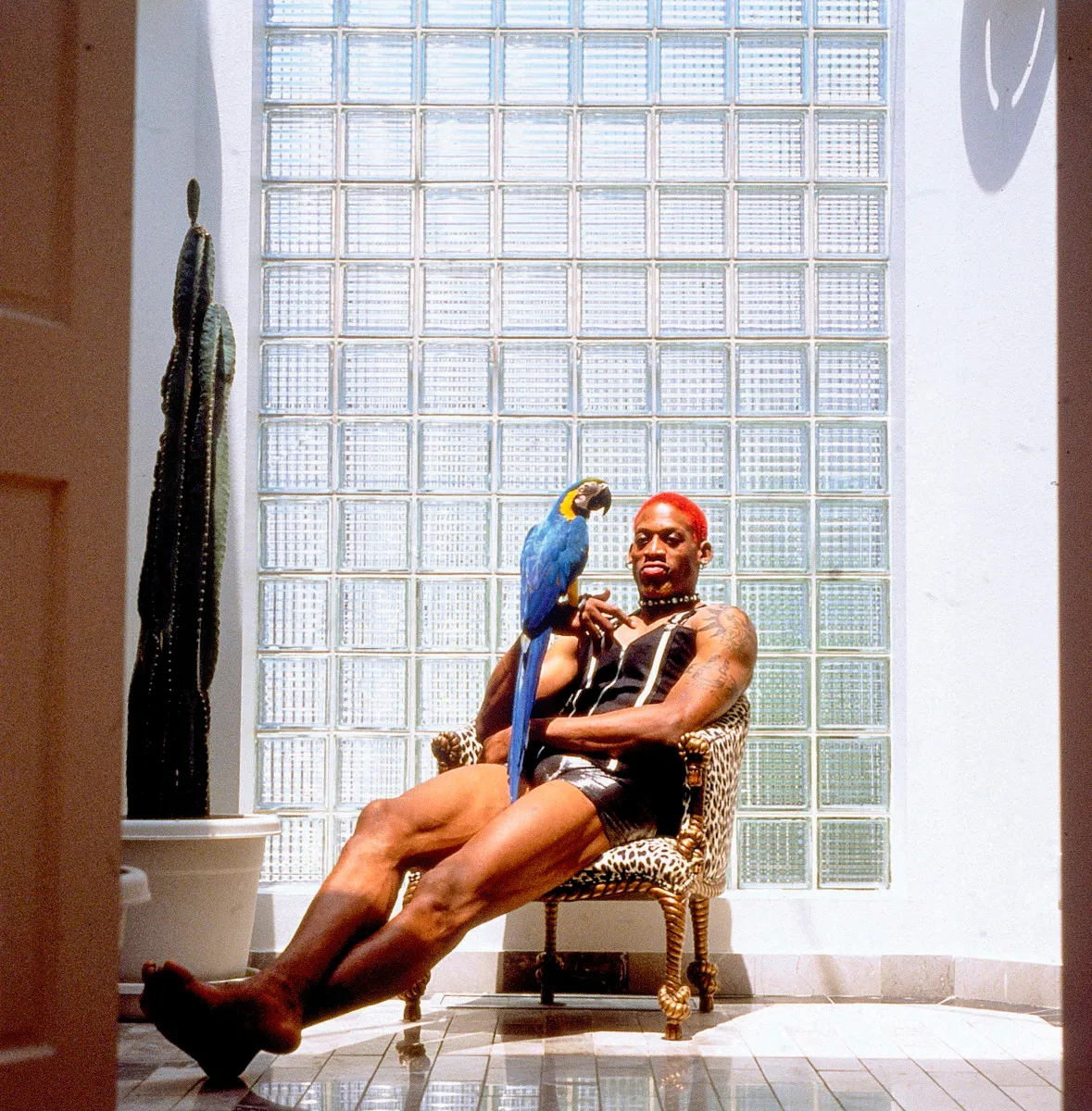 HOW DENNIS RODMAN BROKE EVERYTHING (image 2)