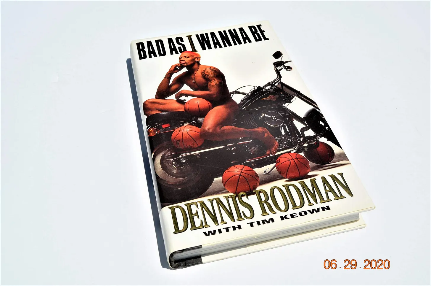 HOW DENNIS RODMAN BROKE EVERYTHING (image 6)