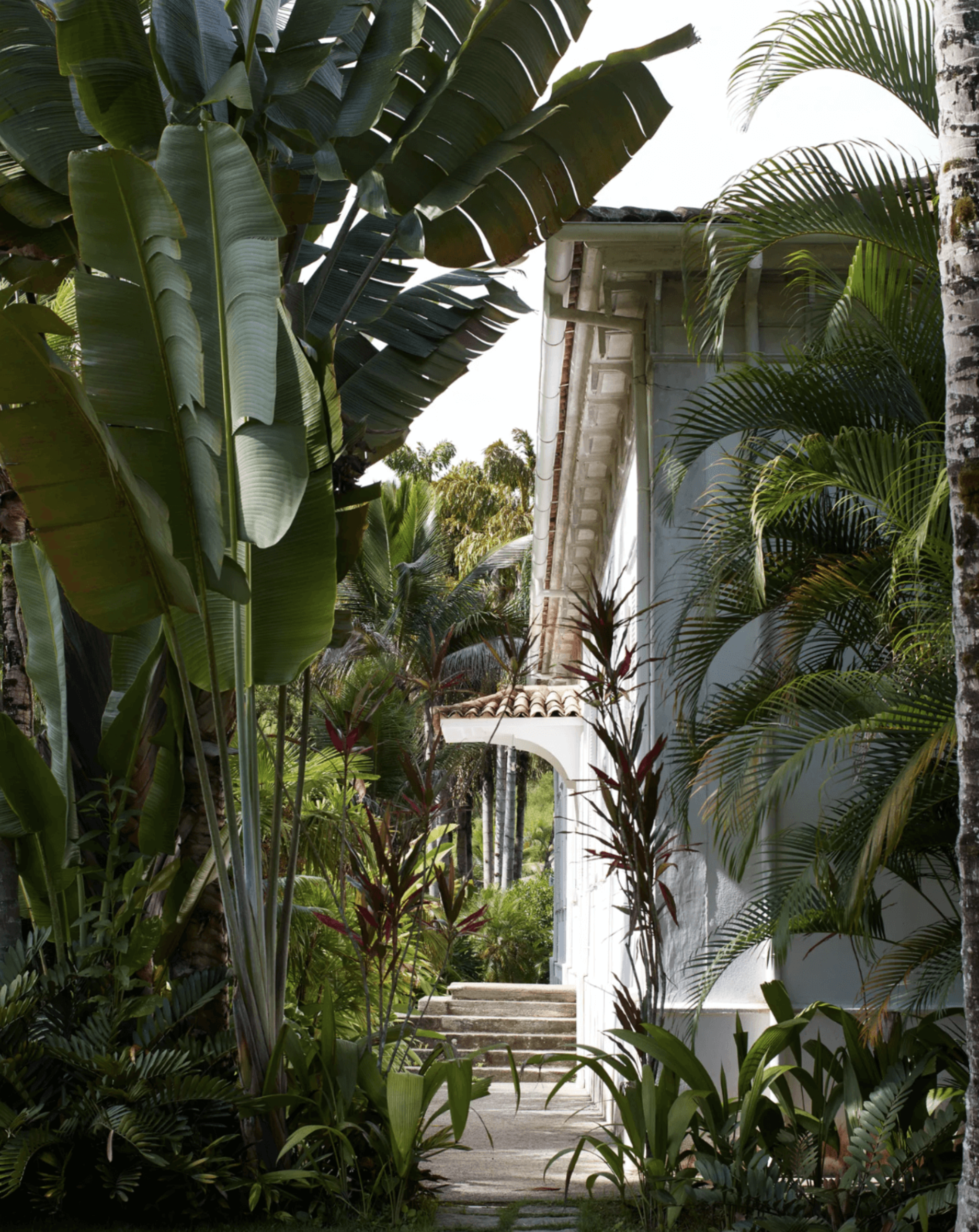 Lenny Kravitz’s home in Brazil is on another level (image 3)