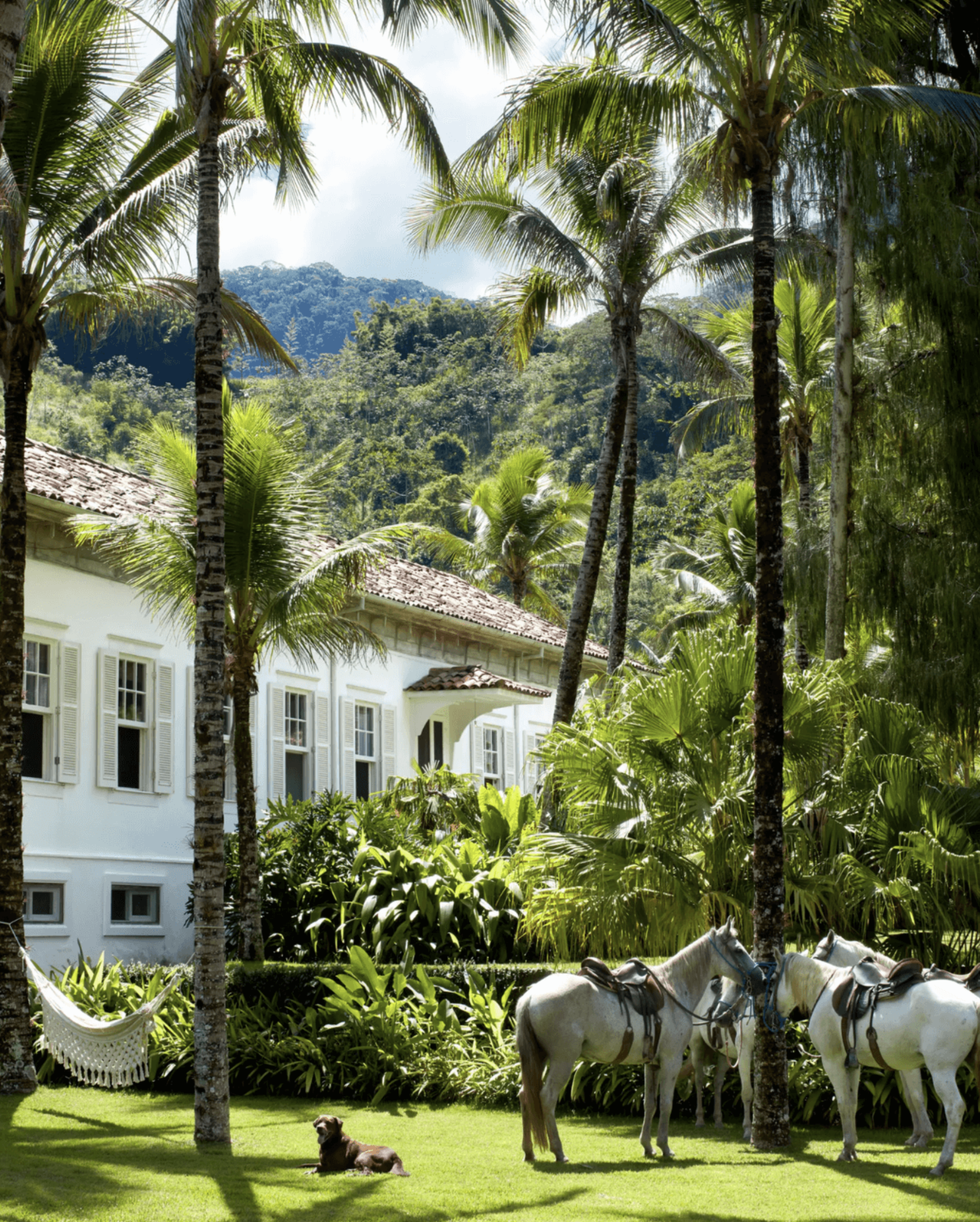 Lenny Kravitz’s home in Brazil is on another level (image 5)